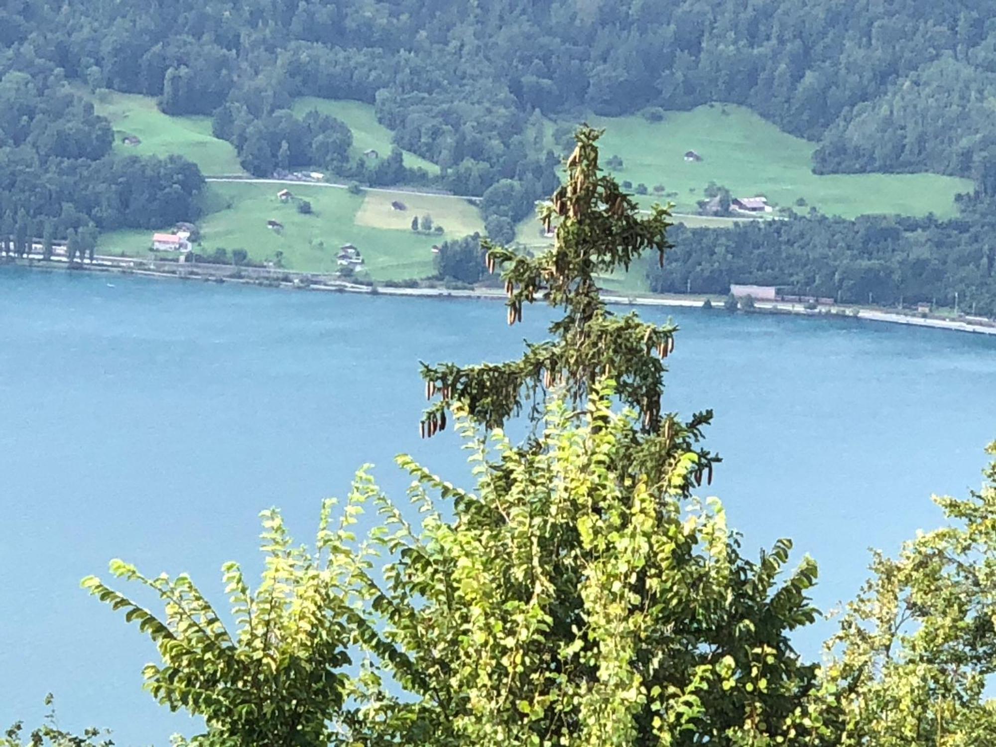 Wohnung Mit See Und Bergsicht Im Vier Sterne Hotel 贝阿滕贝格 外观 照片